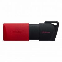 Memoria USB Kingston Technology DTXM/128GB